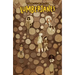 Lumberjanes Vol. 4: Out of Time