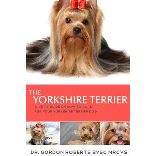 The Yorkshire Terrier: A vet's guide on how to care for your Yorkshire Terrier dog