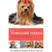The Yorkshire Terrier: A vet's guide on how to care for your Yorkshire Terrier dog