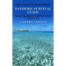 Pandemic Survival Guide: How to Survive if You Become Infected (Medical Face Masks to Protect Your Family's Immune System)