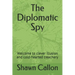 The Diplomatic Spy: Welcome to clever illusion and cold-hearted treachery