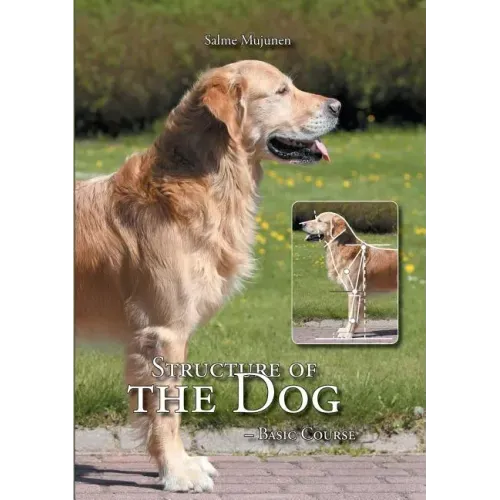 Structure of the Dog: Basic Course