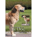 Structure of the Dog: Basic Course