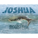 Joshua and the Biggest Fish