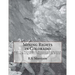 Mining Rights in Colorado: Lode and Placer Claims, Possessory and Patented - From Mining District Organizations to Present