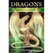 Dragons: Guardians Od Creative Powers