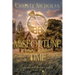 Misfortune of Time: A Dark Irish Historical Fantasy