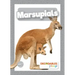 Marsupials