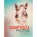 Filburt Feels a Photon: A Story of Light, Space, & Time