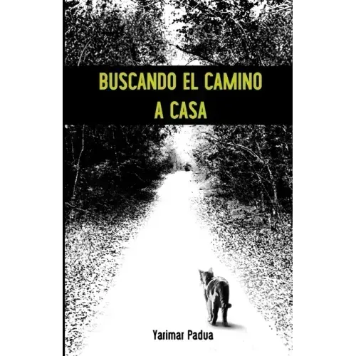 Buscando el Camino a Casa
