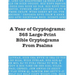 A Year of Cryptograms: 365 Large-Print Bible Cryptograms From Psalms
