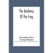 The Anatomy Of The Frog