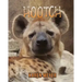 Hootch