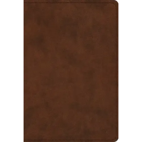 Study Bible-ESV-Personal Size
