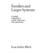 Families and Larger Systems: A Family Therapist's Guide Through the Labyrinth