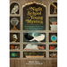 The Night School for Young Mystics: Five Fabulous Field Trips Into Moonlight and Magic