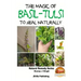 The Magic of Basil - Tulsi To Heal Naturally