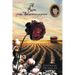 A Rose of the Sharecroppers: A Young Girl's Formidable Journey of Adversity and Courage