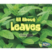 All about Leaves