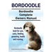 Bordoodle. Bordoodle Complete Owners Manual. Bordoodle book for care, costs, feeding, grooming, health and training.