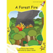 A Forest Fire