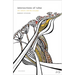 Intersections of Value: Art, Nature, and the Everyday