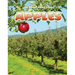 Apples