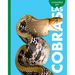 Curiosidad Por Las Cobras