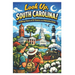 Look Up, South Carolina!: Walking Tours of 25 Towns in the Palmetto State