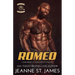 Romeo: A Dark Knights MC/Blood Fury MC Crossover