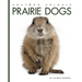 Prairie Dogs