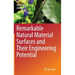 Remarkable Natural Material Surfaces and Their Engineering Potential