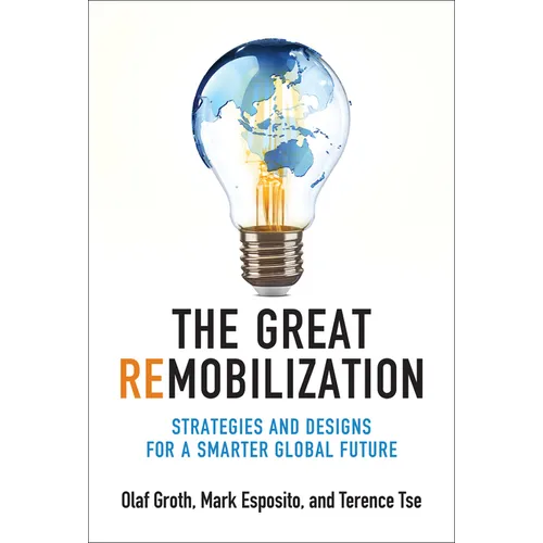 The Great Remobilization: Strategies and Designs for a Smarter Global Future
