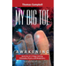 My Big TOE - Awakening H: Book 1 of a Trilogy Unifying Philosophy, Physics, and Metaphysics