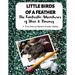 Little Birds of a Feather: The Fantastic Adventures of Steve and Timmy