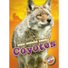 Coyotes