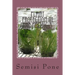 Plant Protection in the Pacific 3: tissue culture