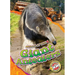 Giant Anteaters