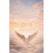 Broken Wings Still Fly