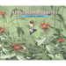 About Hummingbirds: A Guide for Children (Educational Science Book about Hummingbirds for Stem Learning, Classrooms, Preschoolers)