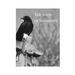 The Birds of Mississippi