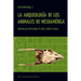 La Arqueologia de Los Animales de Mesoamerica