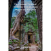 Ta Prohm Temple: Beyond the Jungle Myth of Angkor
