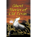 Ghost Stories of Old Texas Vol. 2