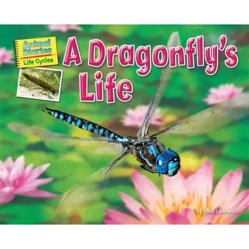 A Dragonfly's Life