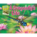 A Dragonfly's Life