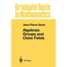 Algebraic Groups and Class Fields