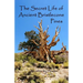 The Secret Life of Ancient Bristlecone Pines: Book One of the Secret Life Series