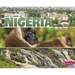 Let's Look at Nigeria