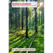 Sunna's Journey: Norse Liturgy Through the Wheel of the Year